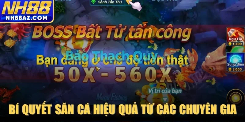 Những bí quyết săn cá hiệu quả từ các chuyên gia lão luyện