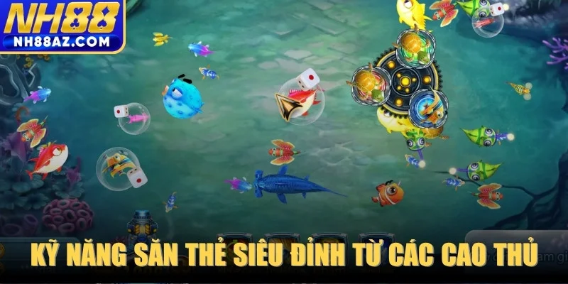 Kỹ năng săn thẻ siêu đỉnh từ các cao thủ lâu năm