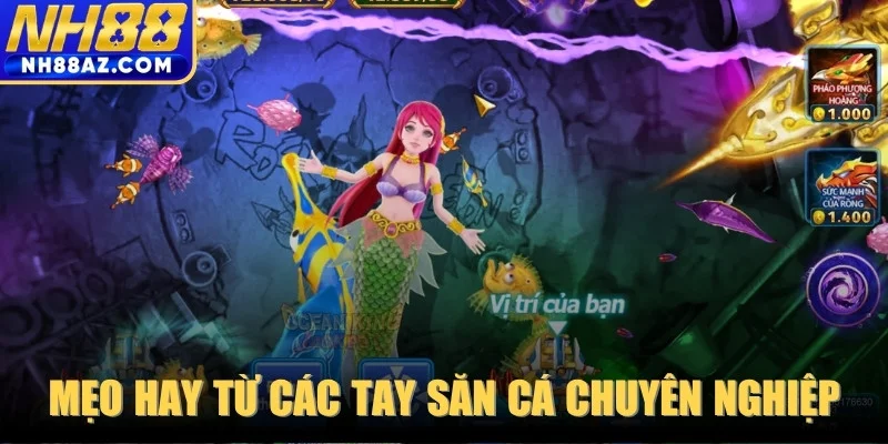 Tổng hợp mẹo làm chủ đại dương từ các tay săn cá chuyên nghiệp