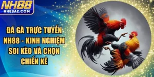 Đá gà trực tuyến