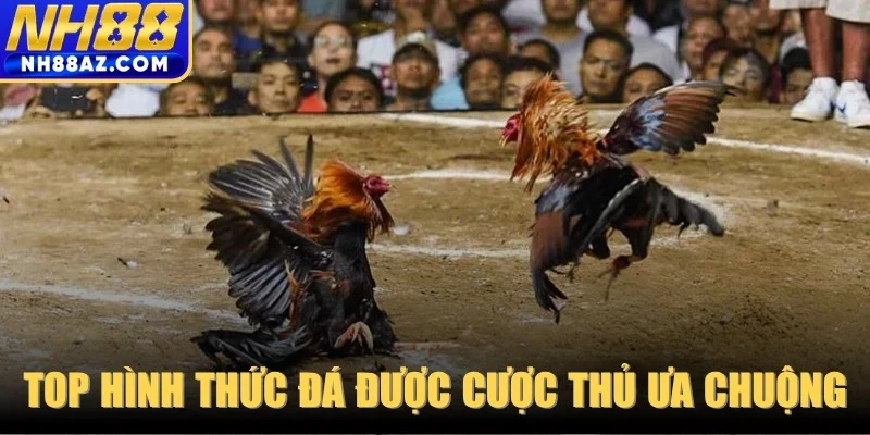Top hình thức đá được cược thủ ưa chuộng