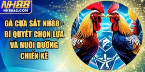 Gà cựa sắt