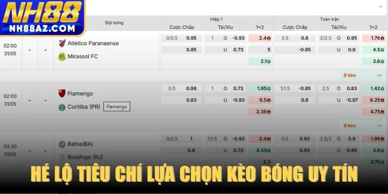 Hé lộ tiêu chí lựa chọn kèo bóng uy tín cho người mới