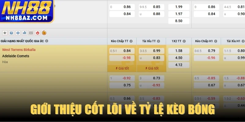 Giới thiệu cốt lõi về tỷ lệ kèo bóng cho người mới bắt đầu