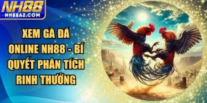 Xem gà đá online