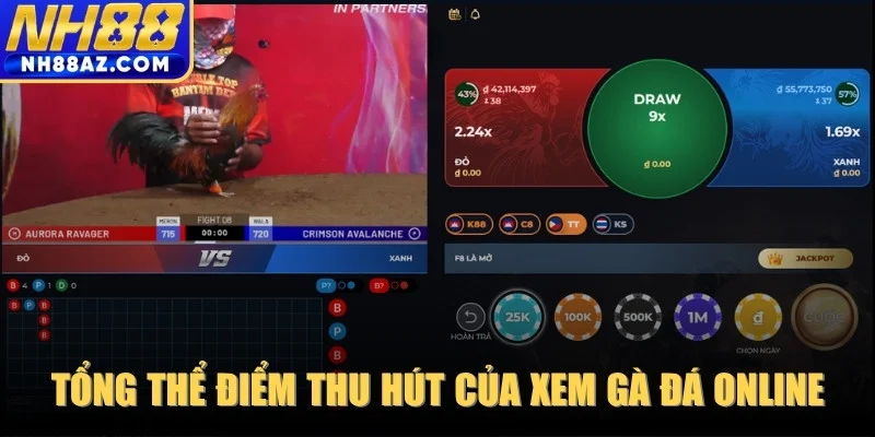 Nhìn nhận tổng thể điểm thu hút của xem gà đá online hiện nay